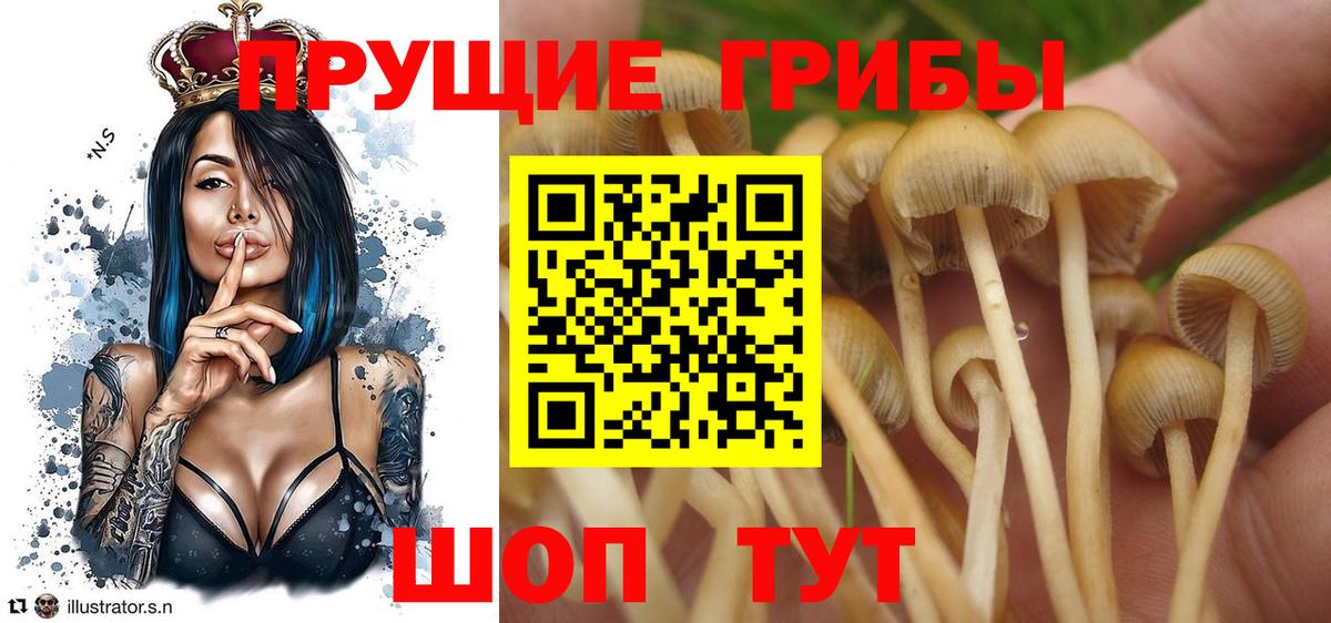 Псилоцибиновые грибы прущие грибы Сарапул